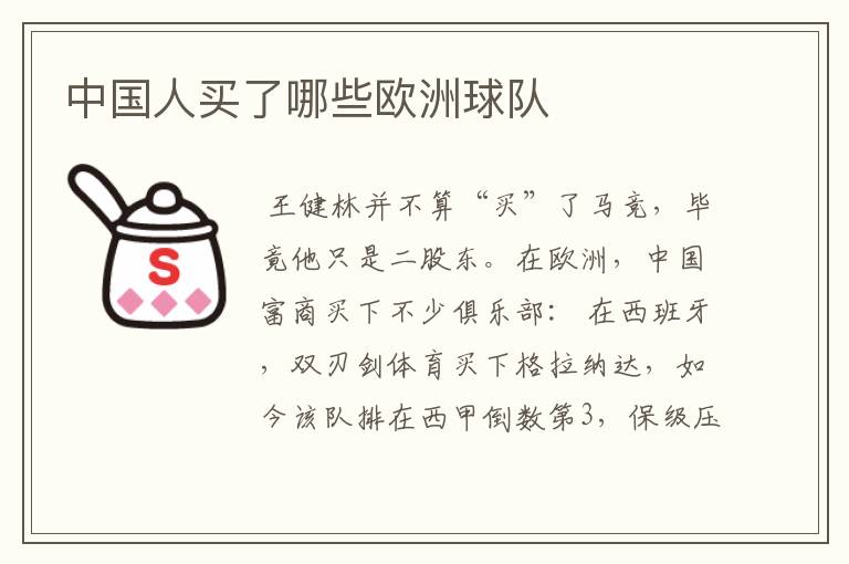 中国人买了哪些欧洲球队