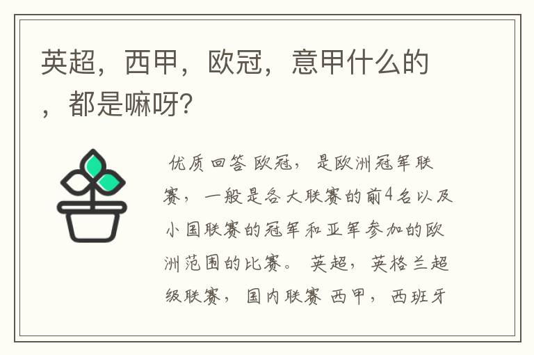 英超,西甲,欧冠,意甲什么的,都是嘛呀?