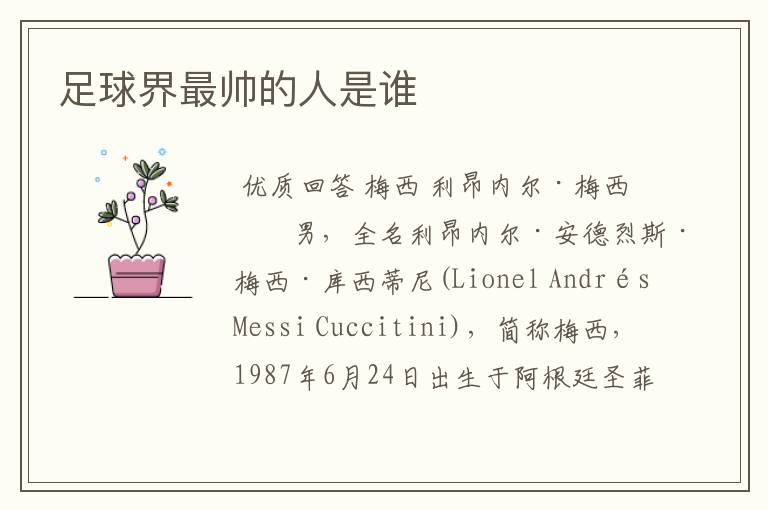 足球界最帅的人是谁