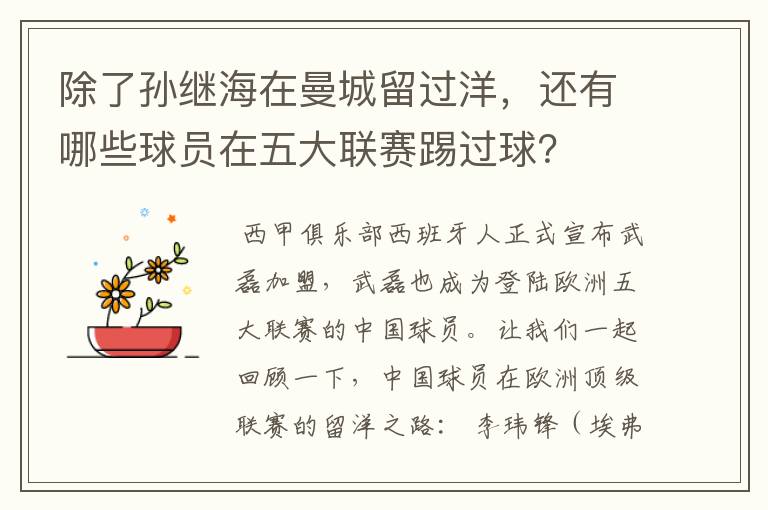 除了孙继海在曼城留过洋,还有哪些球员在五大联赛踢过球?