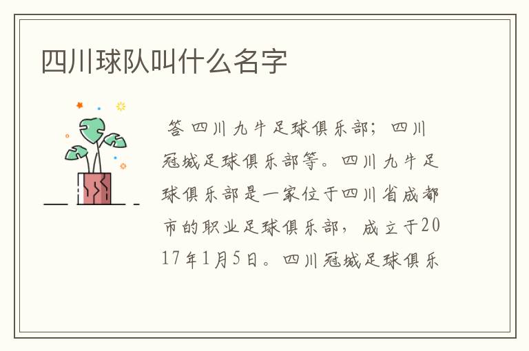 四川球队叫什么名字