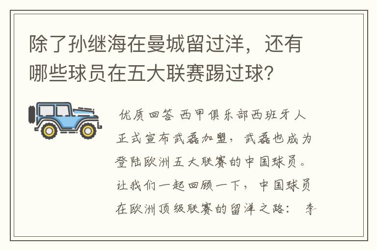 除了孙继海在曼城留过洋,还有哪些球员在五大联赛踢过球?