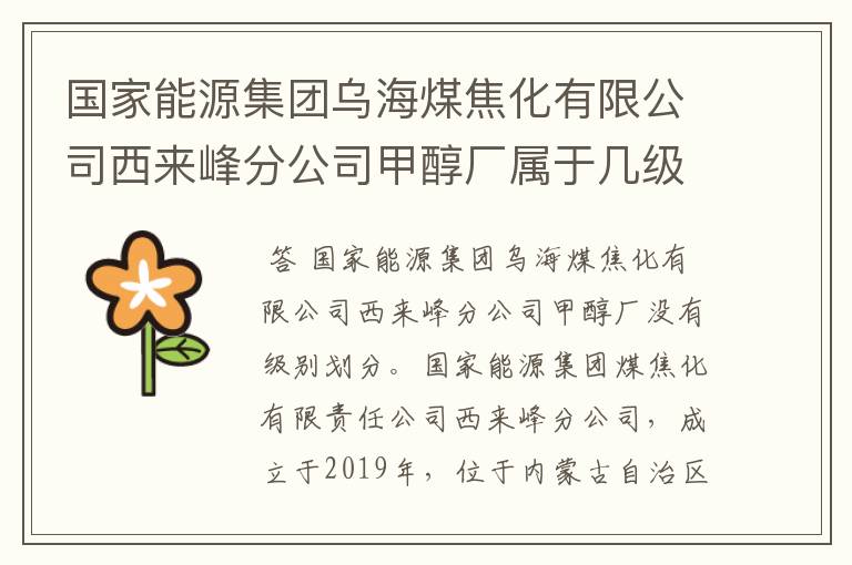 国家能源集团乌海煤焦化有限公司西来峰分公司甲醇厂属于几级单位