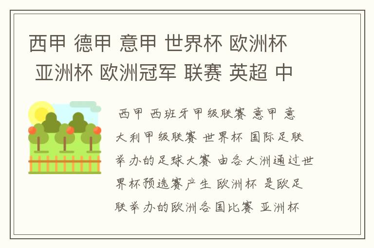 西甲 德甲 意甲 世界杯 欧洲杯 亚洲杯 欧洲冠军 联赛 英超 中超 分别是什么意思啊?