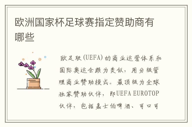 欧洲国家杯足球赛指定赞助商有哪些