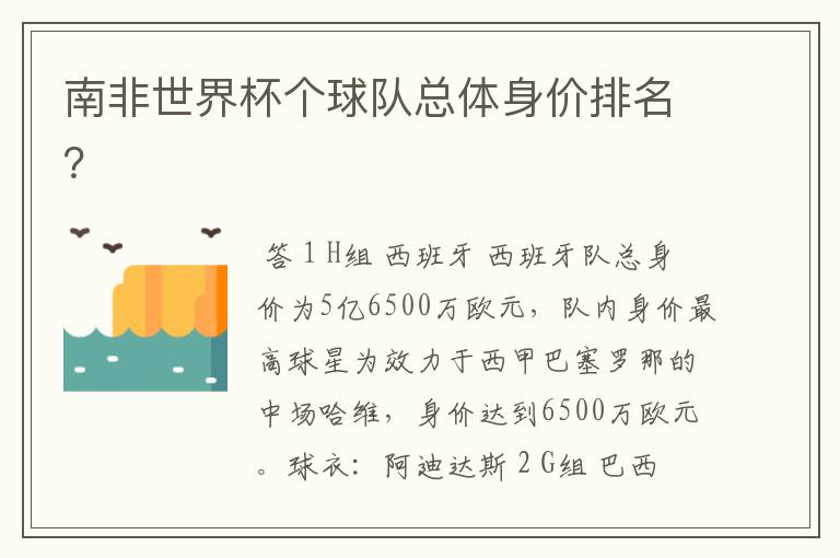 南非世界杯个球队总体身价排名?