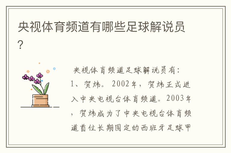 央视体育频道有哪些足球解说员?