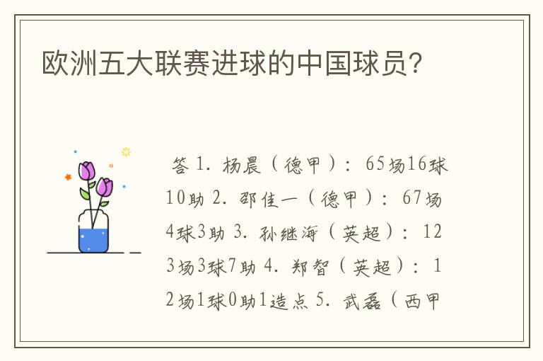 欧洲五大联赛进球的中国球员?