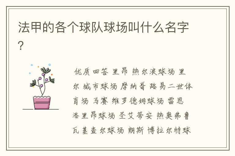 法甲的各个球队球场叫什么名字?