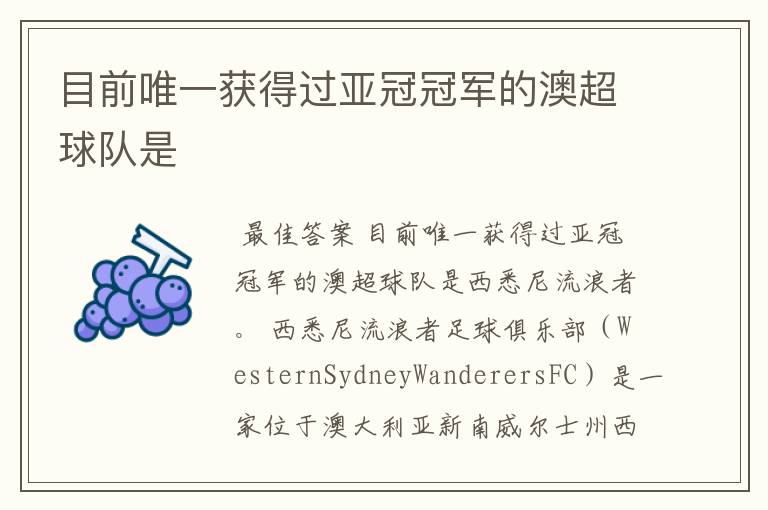 目前唯一获得过亚冠冠军的澳超球队是