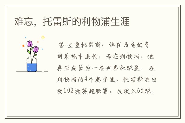 难忘,托雷斯的利物浦生涯