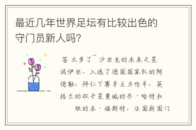 最近几年世界足坛有比较出色的守门员新人吗?