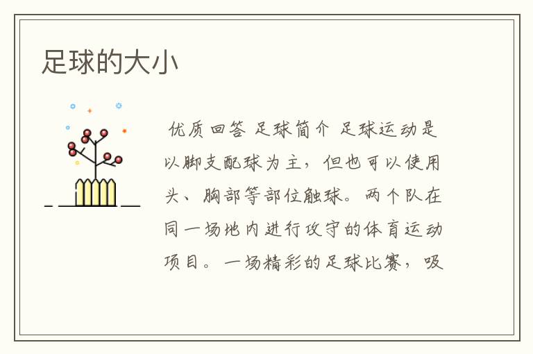 足球的大小