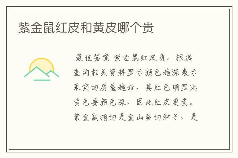 紫金鼠红皮和黄皮哪个贵