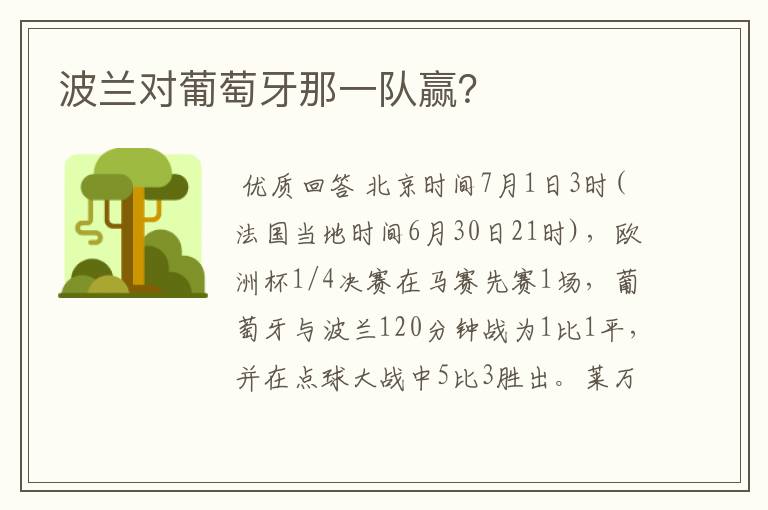 波兰对葡萄牙那一队赢?