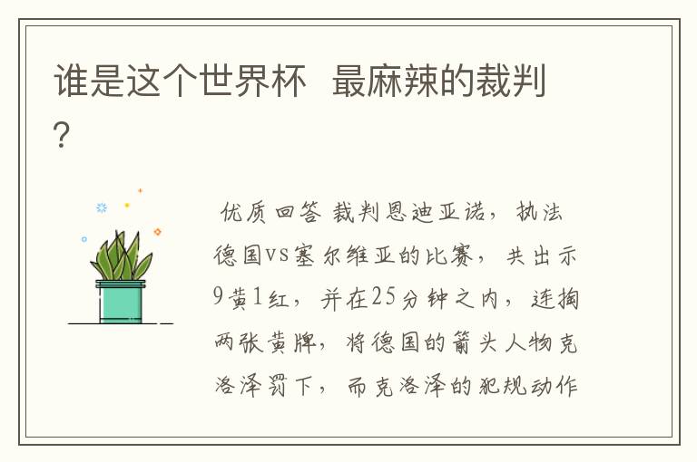 谁是这个世界杯 最麻辣的裁判?