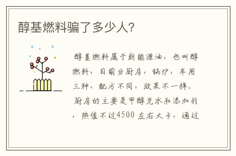 醇基燃料骗了多少人?