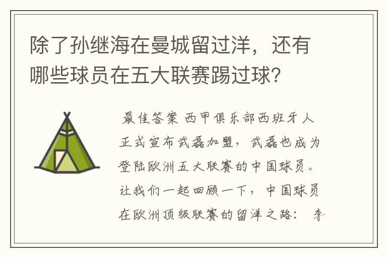 除了孙继海在曼城留过洋,还有哪些球员在五大联赛踢过球?