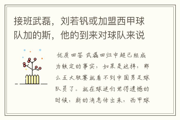 接班武磊,刘若钒或加盟西甲球队加的斯,他的到来对球队来说意味着什么?