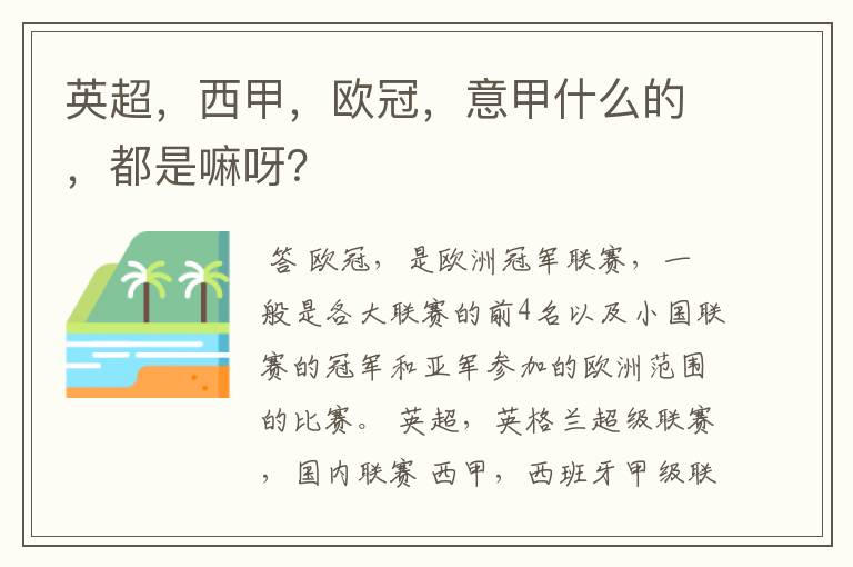 英超,西甲,欧冠,意甲什么的,都是嘛呀?