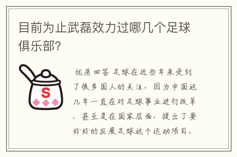 目前为止武磊效力过哪几个足球俱乐部?