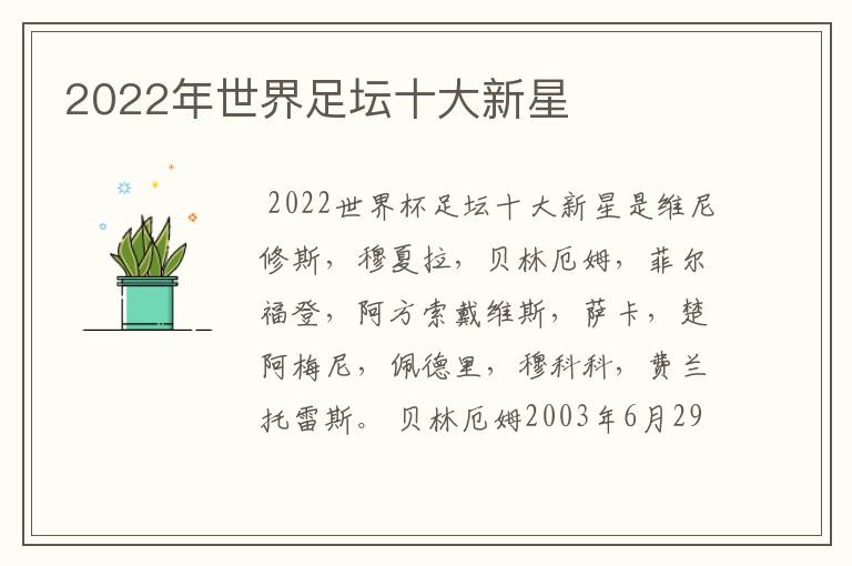 2022年世界足坛十大新星