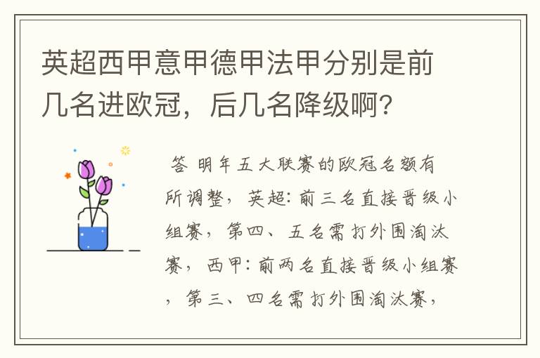 英超西甲意甲德甲法甲分别是前几名进欧冠,后几名降级啊?