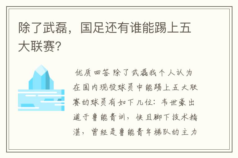 除了武磊,国足还有谁能踢上五大联赛?