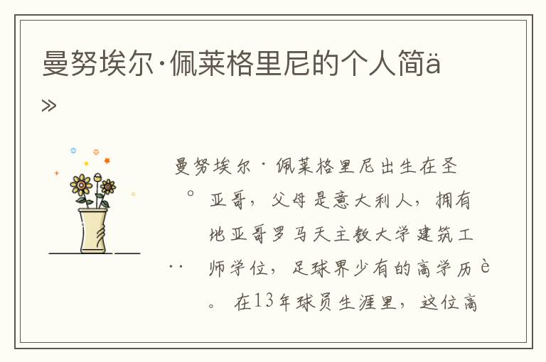 曼努埃尔·佩莱格里尼的个人简介