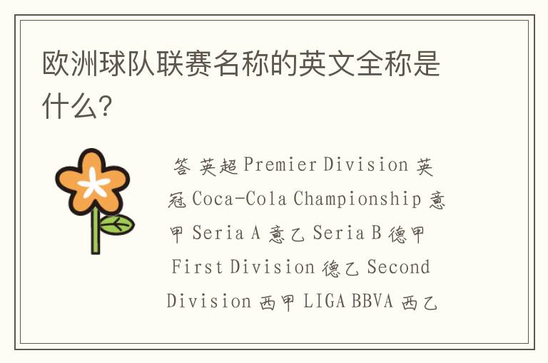 欧洲球队联赛名称的英文全称是什么?