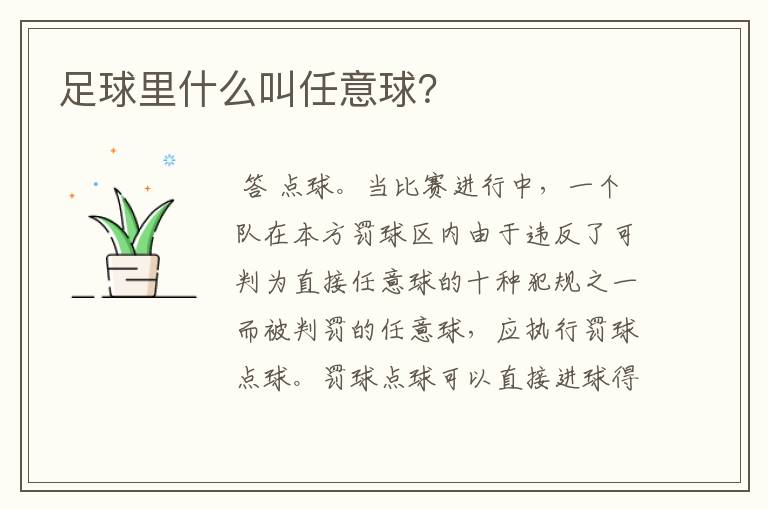 足球里什么叫任意球?
