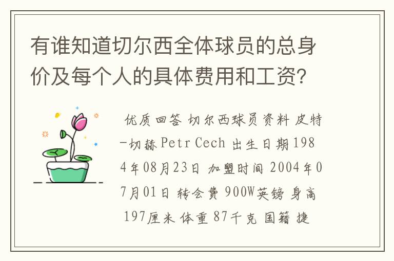 有谁知道切尔西全体球员的总身价及每个人的具体费用和工资?