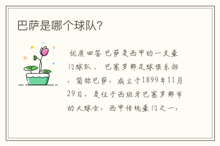 巴萨是哪个球队?