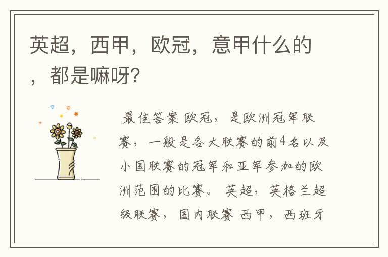 英超,西甲,欧冠,意甲什么的,都是嘛呀?