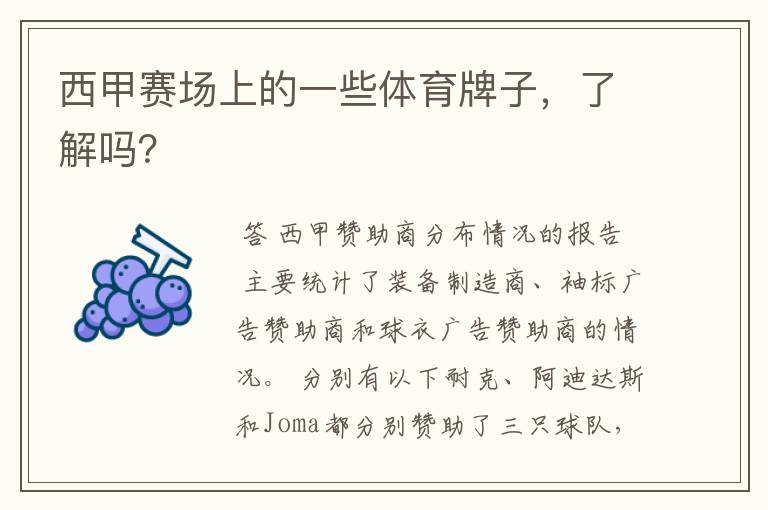 西甲赛场上的一些体育牌子,了解吗?