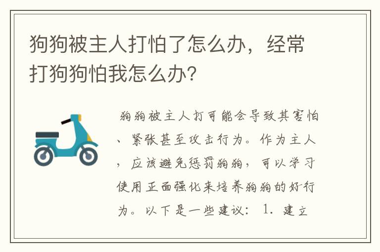 狗狗被主人打怕了怎么办,经常打狗狗怕我怎么办?