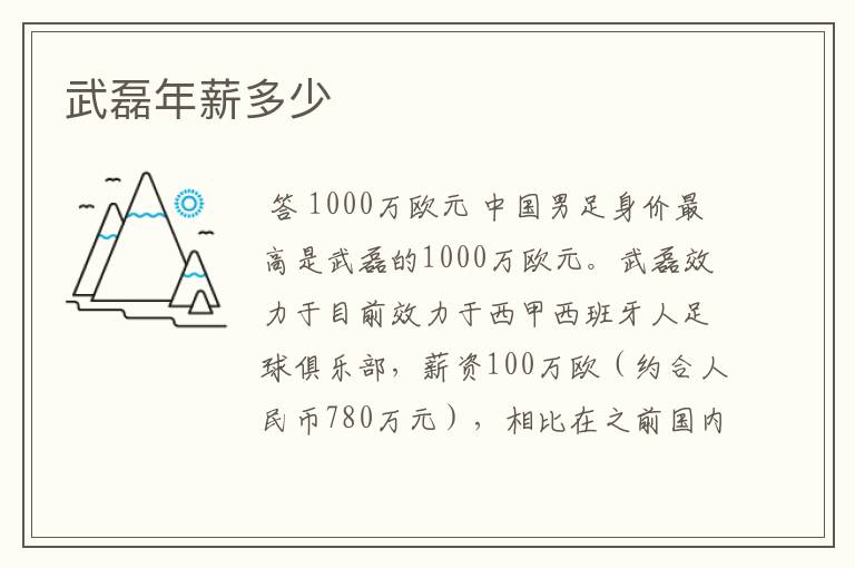 武磊年薪多少