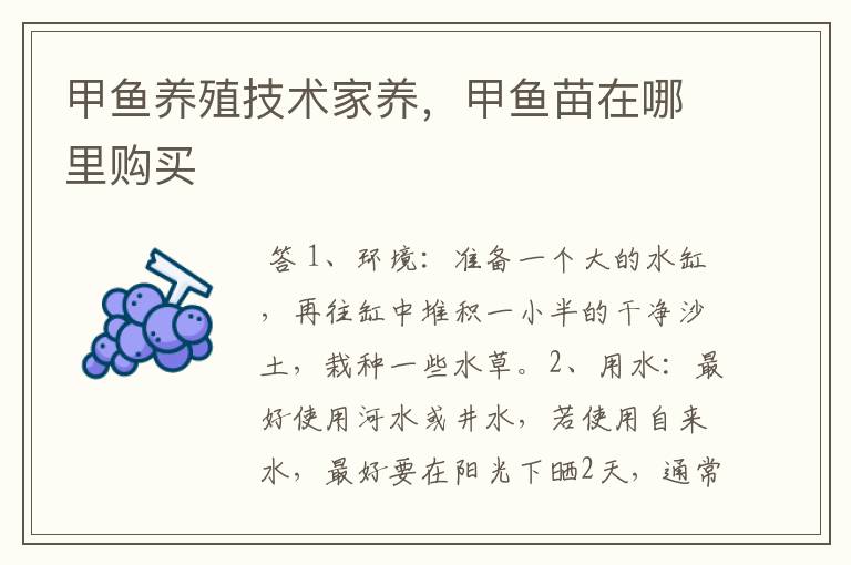 甲鱼养殖技术家养,甲鱼苗在哪里购买