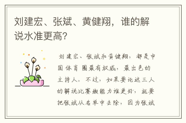 刘建宏、张斌、黄健翔,谁的解说水准更高?