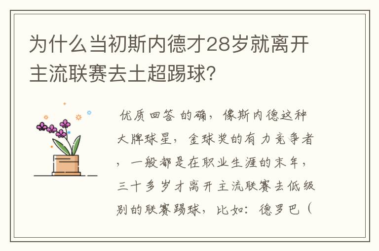 为什么当初斯内德才28岁就离开主流联赛去土超踢球?