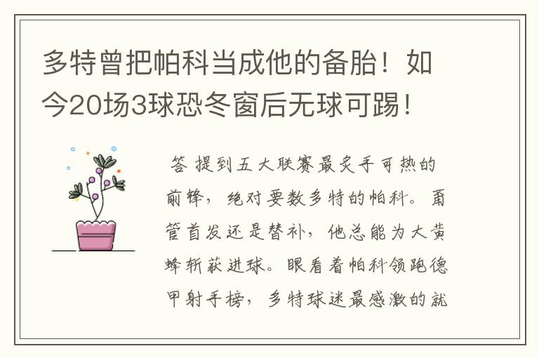 多特曾把帕科当成他的备胎!如今20场3球恐冬窗后无球可踢!