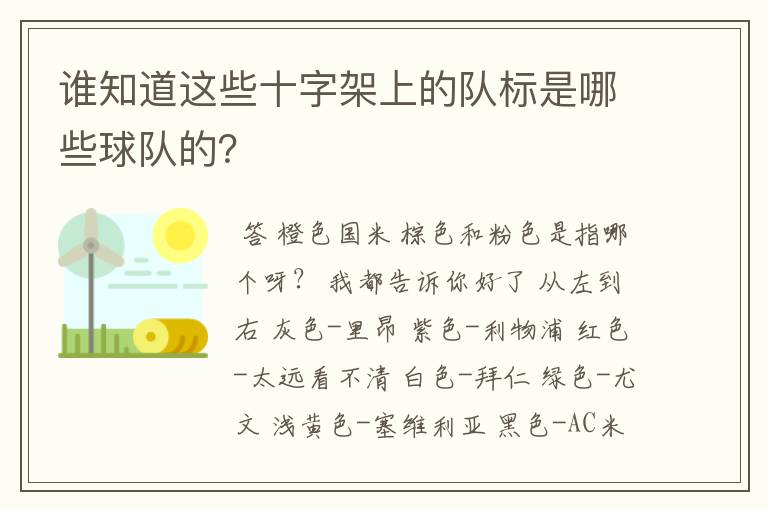 谁知道这些十字架上的队标是哪些球队的?