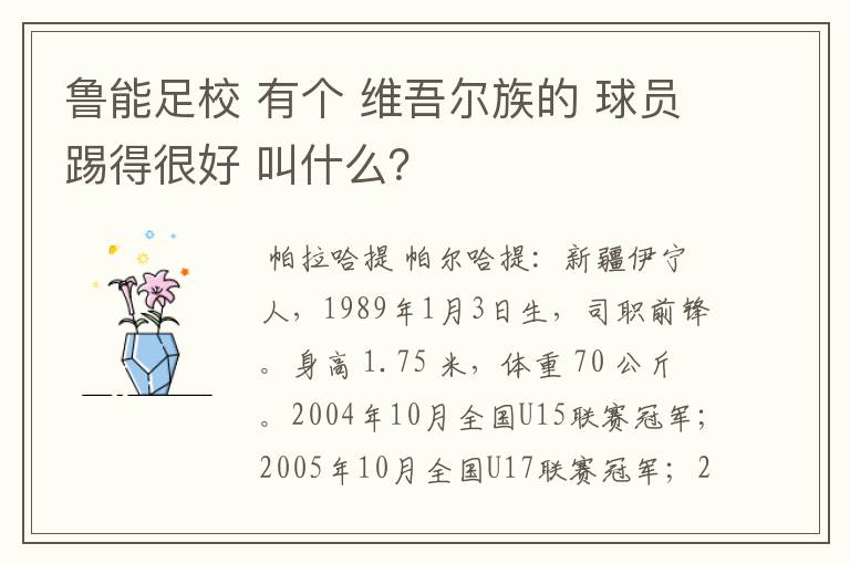 鲁能足校 有个 维吾尔族的 球员踢得很好 叫什么?