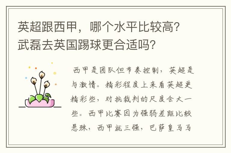 英超跟西甲,哪个水平比较高?武磊去英国踢球更合适吗?