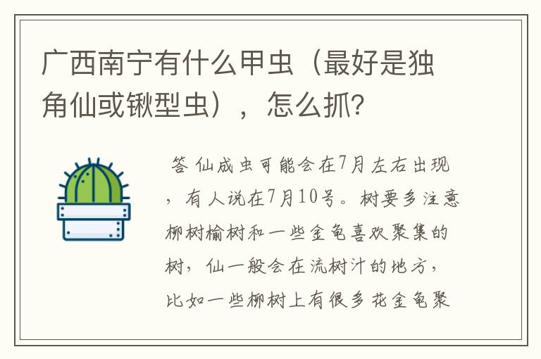 广西南宁有什么甲虫(最好是独角仙或锹型虫),怎么抓?