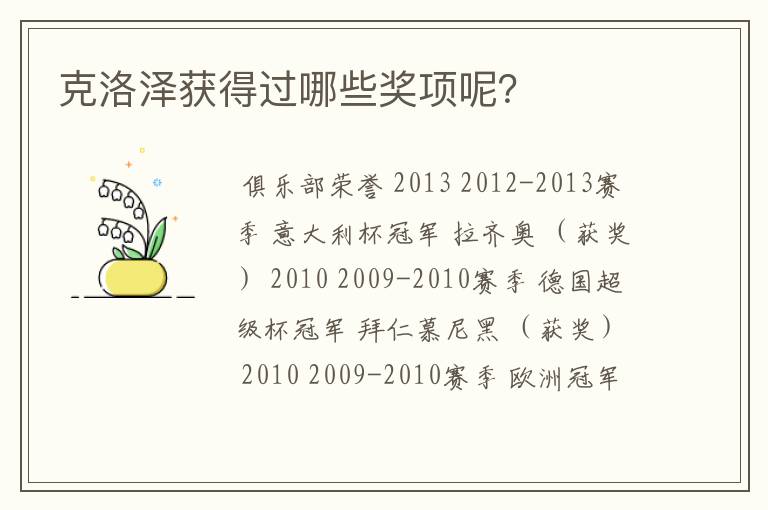 克洛泽获得过哪些奖项呢?