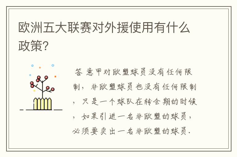 欧洲五大联赛对外援使用有什么政策?