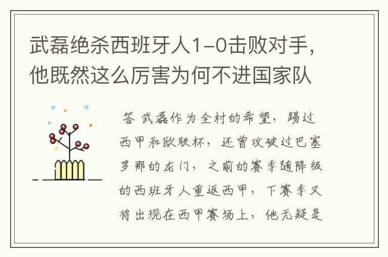 武磊绝杀西班牙人1-0击败对手,他既然这么厉害为何不进国家队?