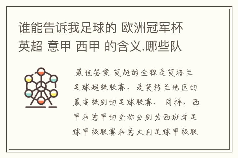 谁能告诉我足球的 欧洲冠军杯 英超 意甲 西甲 的含义.哪些队 怎么进行比赛的.