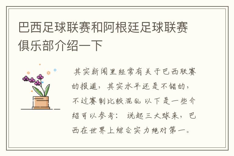 巴西足球联赛和阿根廷足球联赛俱乐部介绍一下